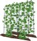 Garden Arch Trellis, Metal Core Trellis for Climbing Plants Outdoor